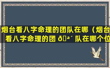 烟台看八字命理的团队在哪（烟台看八字命理的团 🪴 队在哪个位置）